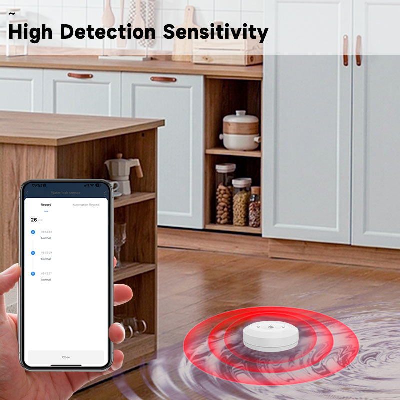 Tuya Zigbee2mqtt Water Immersi - Water Alarm Sensor avaliação e preço