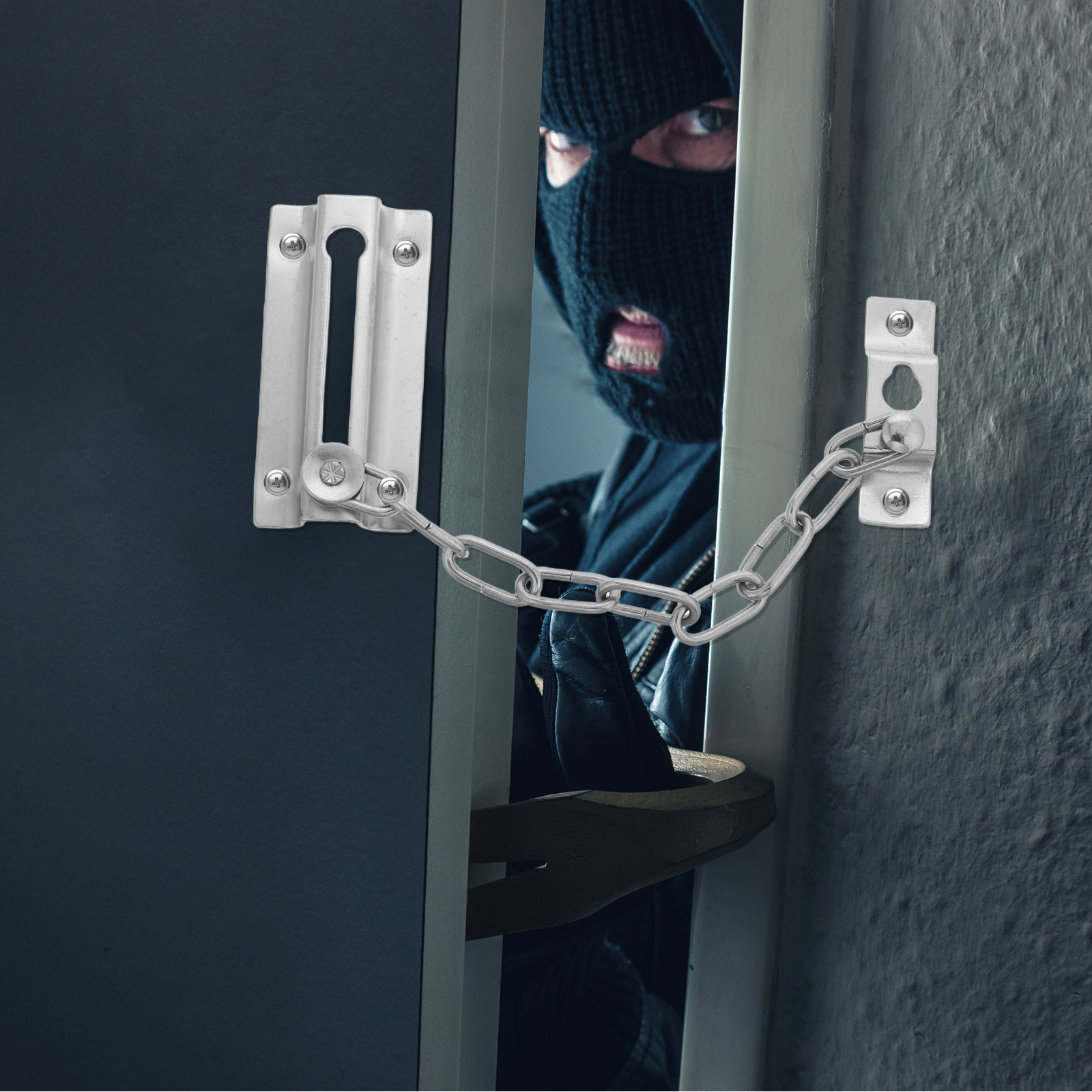 Heavy Duty Stainless Steel Ant - Security Chain Door avaliação e preço